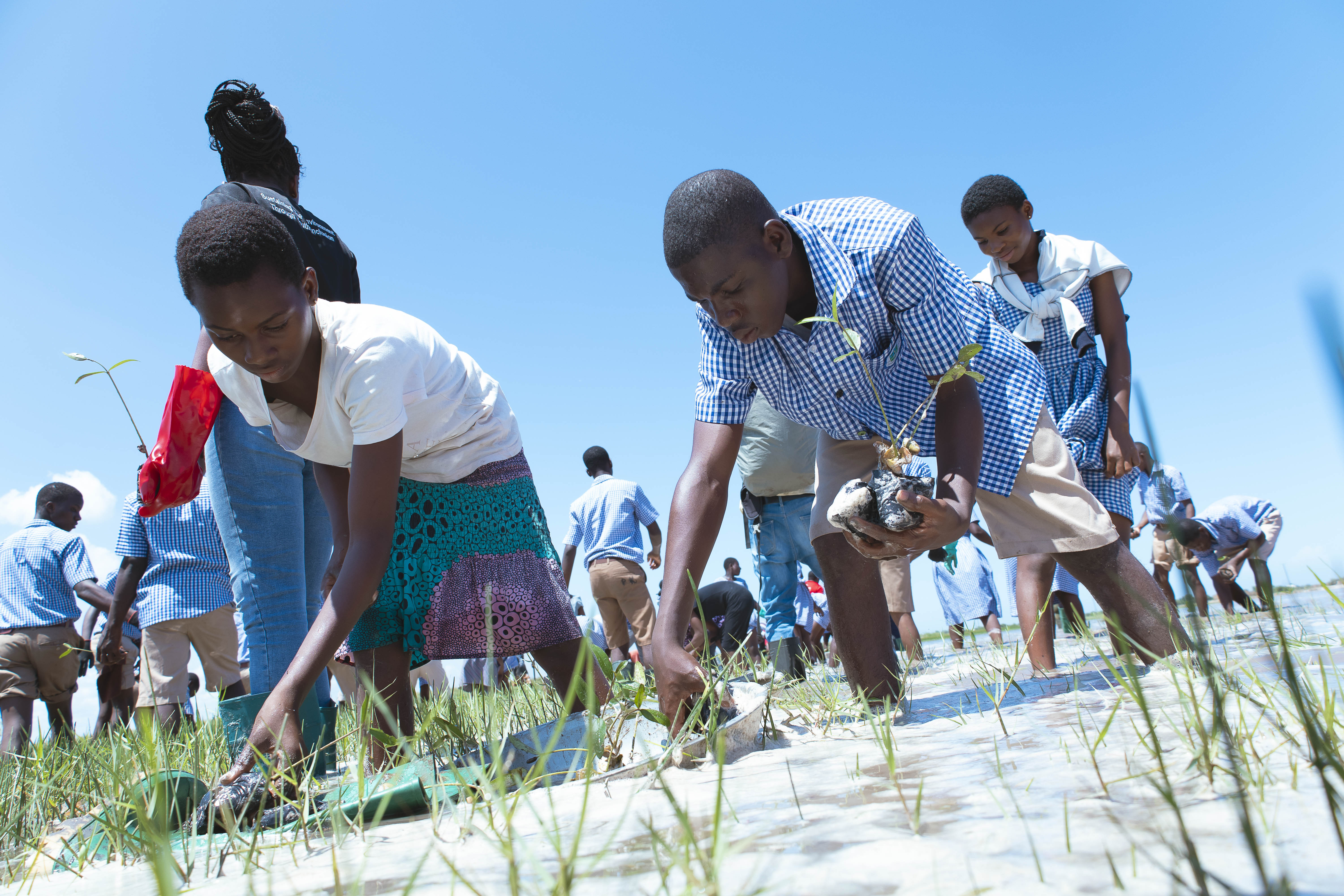 Youth in Natural Resources & Environmental Governance (Youth-NREG) Platform