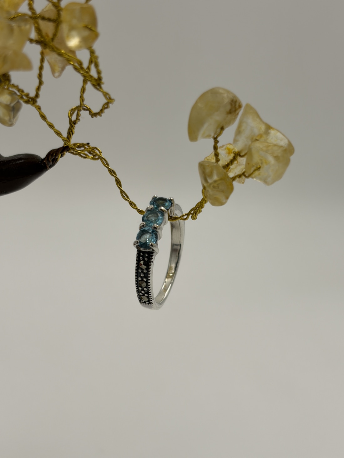 Ring view 3