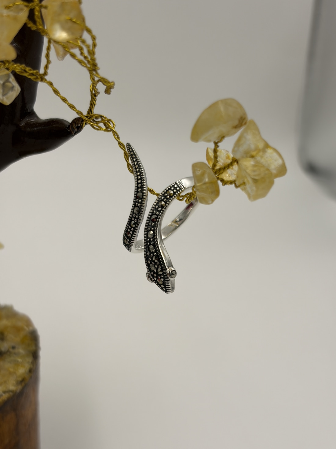 Ring  view 3