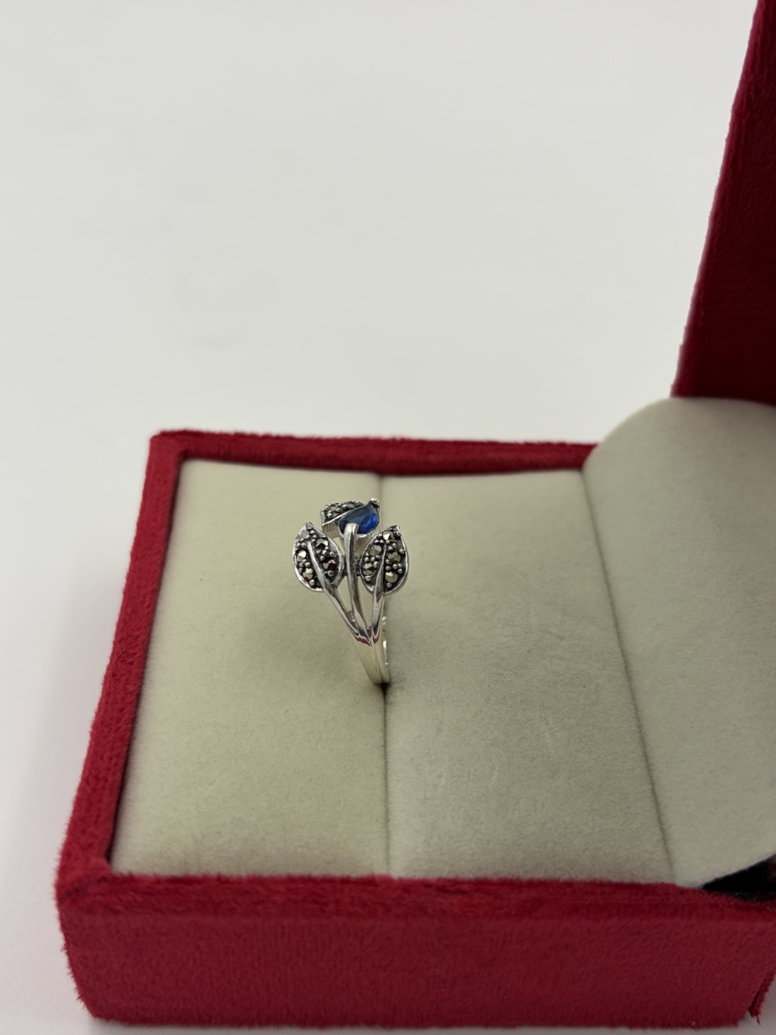 Rings view 2