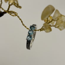 Ring view 2