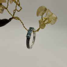 Ring view 3