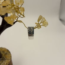 Rings view 3