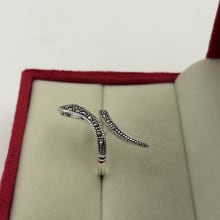 Ring  view 2