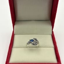 Rings view 1