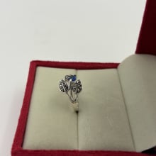 Rings view 2