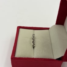 Rings view 2