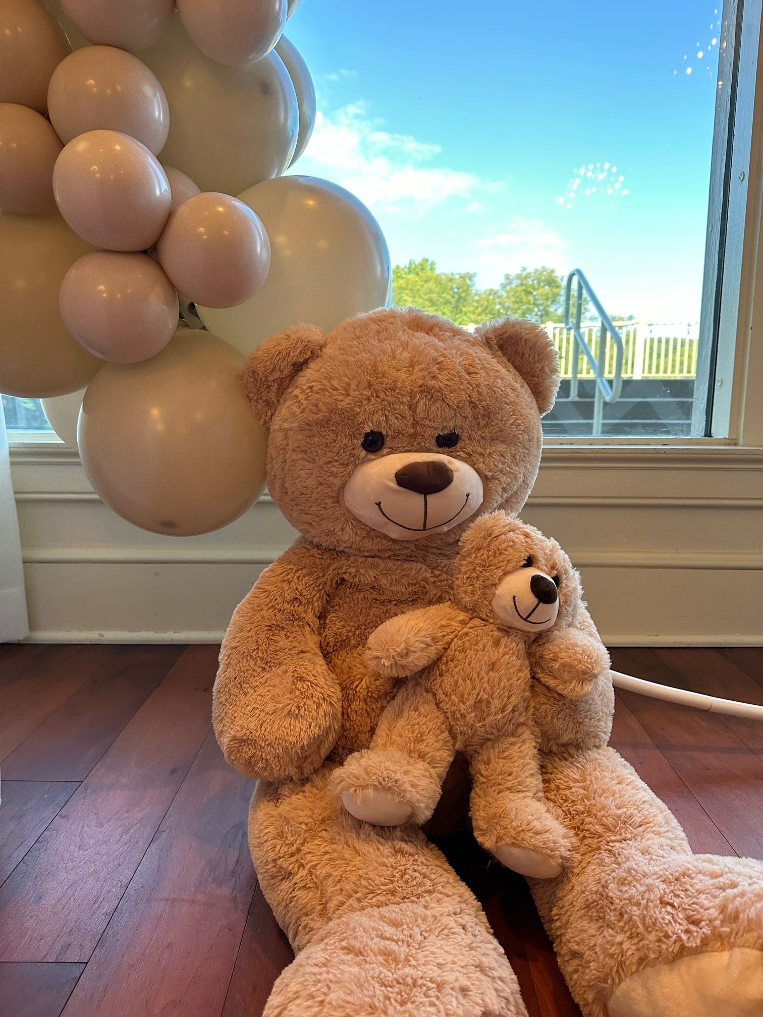 Baby shower setup in Pittsburgh by Party on Butler