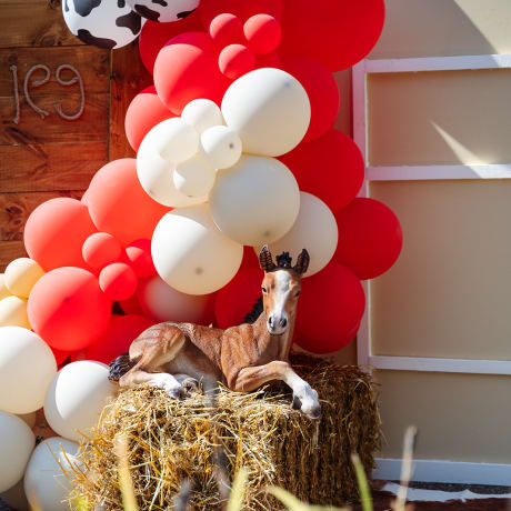 Cowprint and red balloons