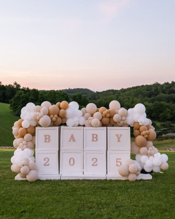 Gender Reveal decor by Party on Butler