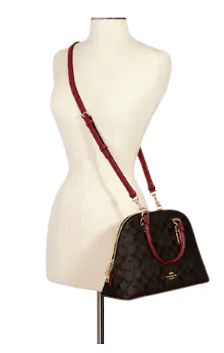 Katy Satchel