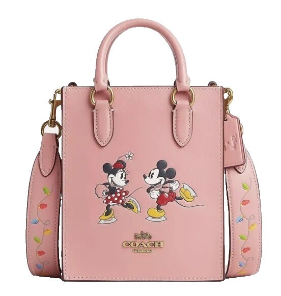North/South mini tote