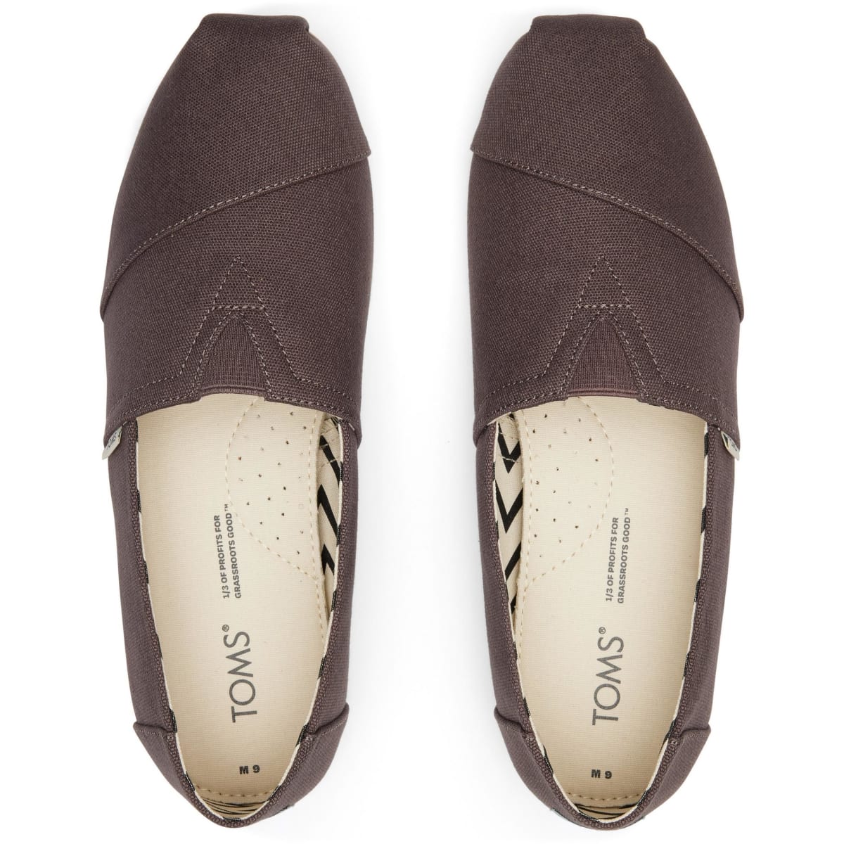 Toms Ash canvas