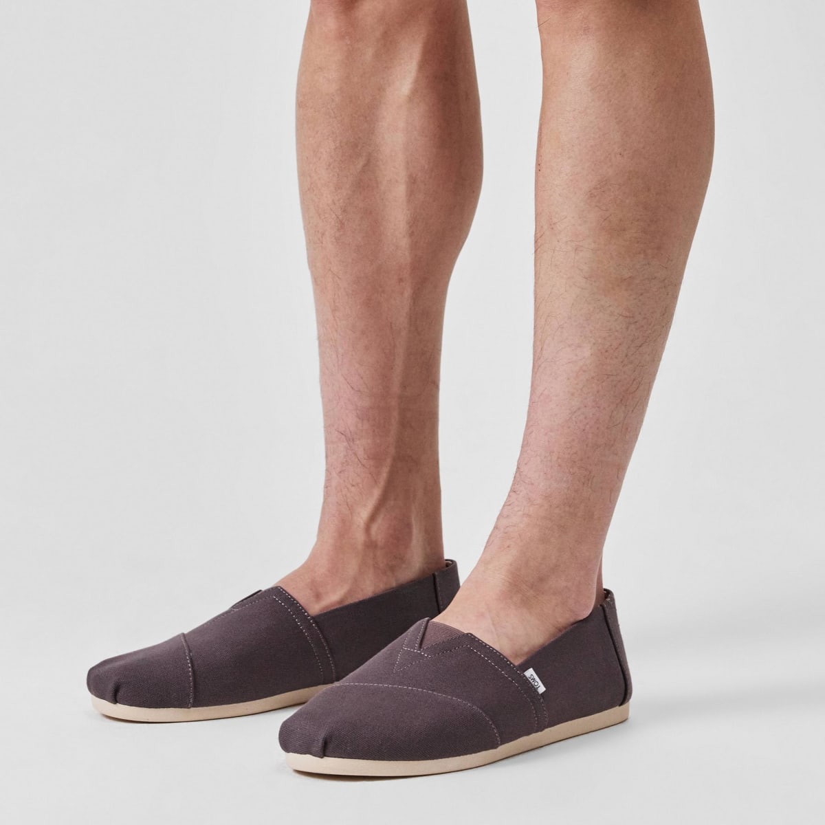 Toms Ash canvas