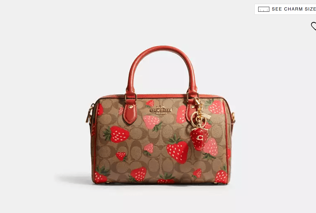Coach CH511 Rowan Satchel in Signature Canvas with Wild Strawberry Print in Khaki Multi
