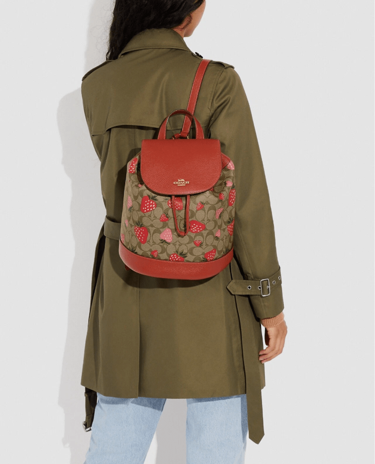 Coach CH326 Dempsey Drawstring Backpack in Signature Canvas with Wild Strawberry Print in Khaki Multi