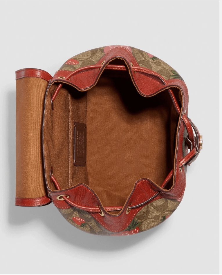 Coach CH326 Dempsey Drawstring Backpack in Signature Canvas with Wild Strawberry Print in Khaki Multi