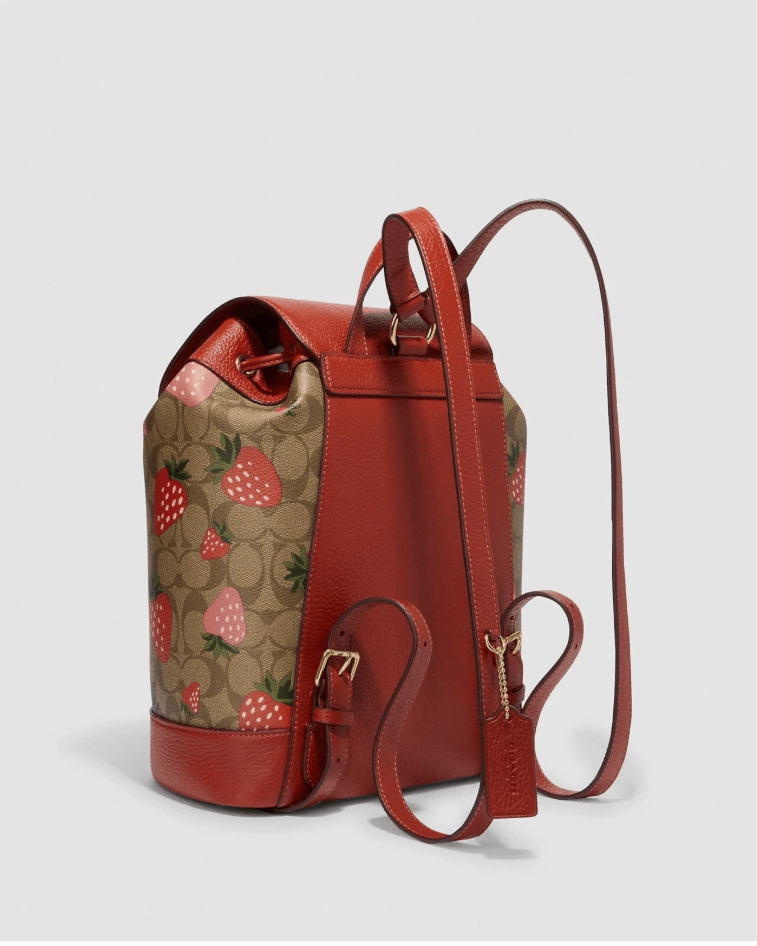 Coach CH326 Dempsey Drawstring Backpack in Signature Canvas with Wild Strawberry Print in Khaki Multi