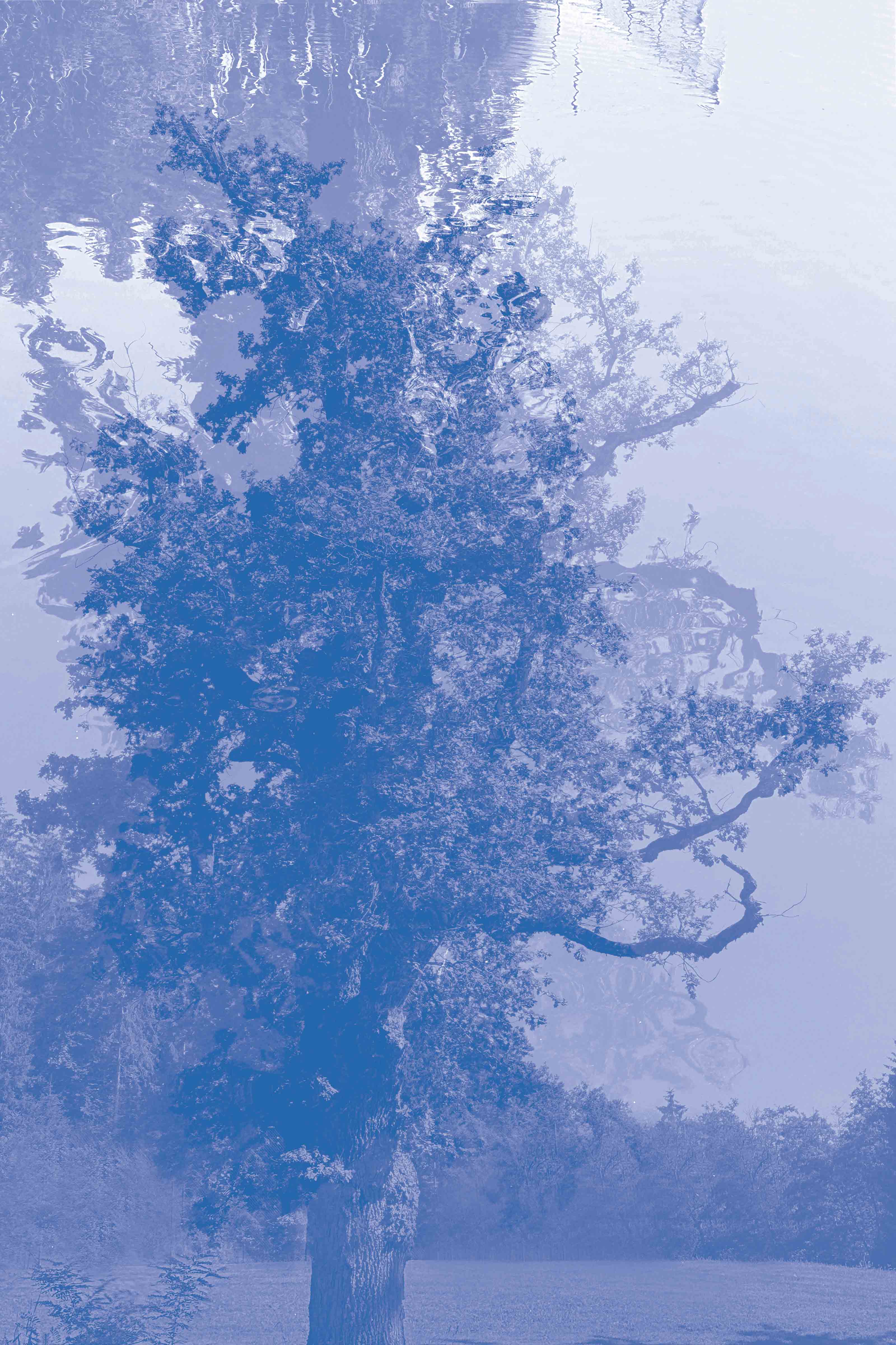 Magda von Hanau, Narcissus Blue, 2023, 150 x 100 cm