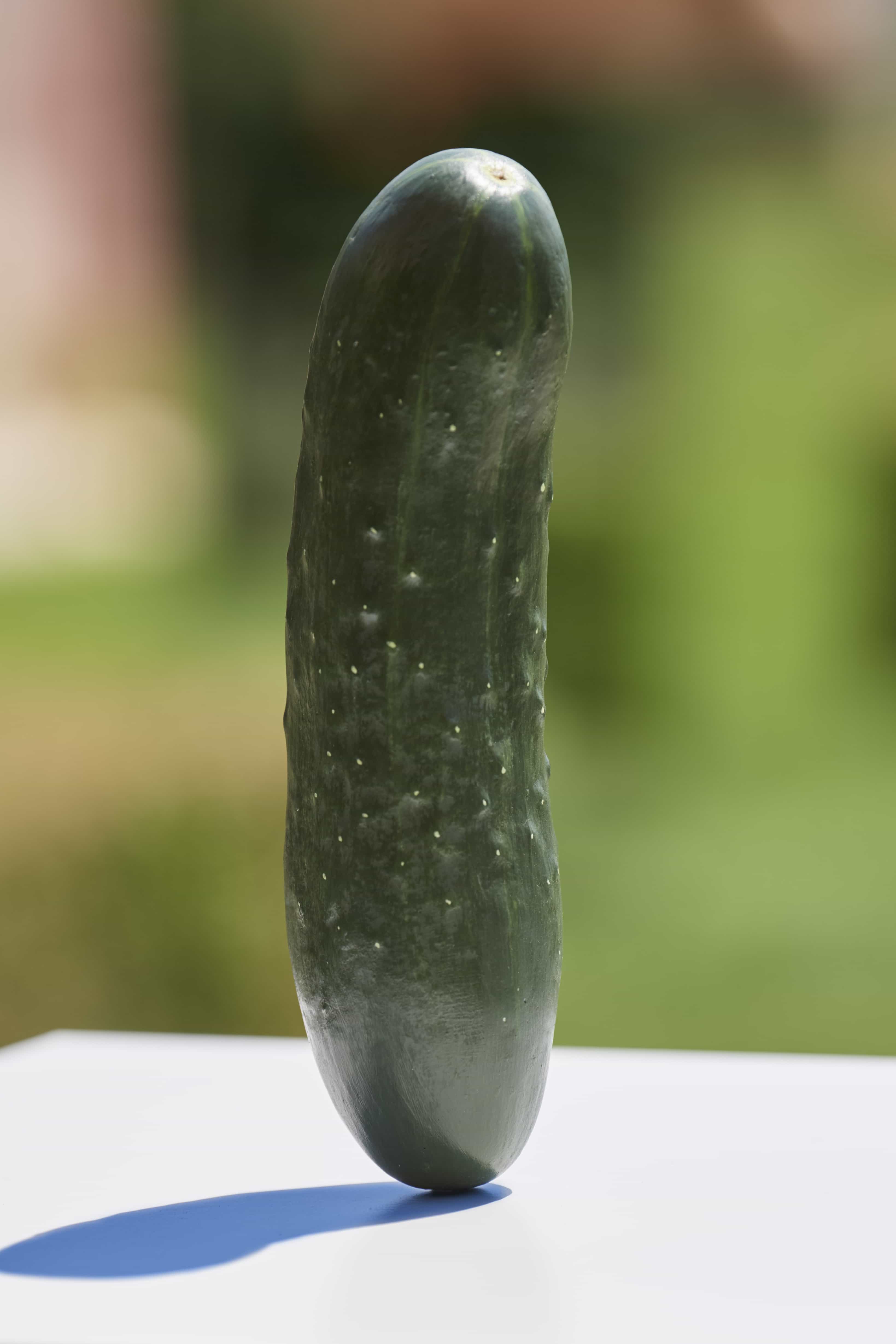 Erwin Wurm, Untitled (Salatgurke Nr.09) (Selbstportrait Als Gurken), 2008, Acrylic, paint, 19 × 4 cm