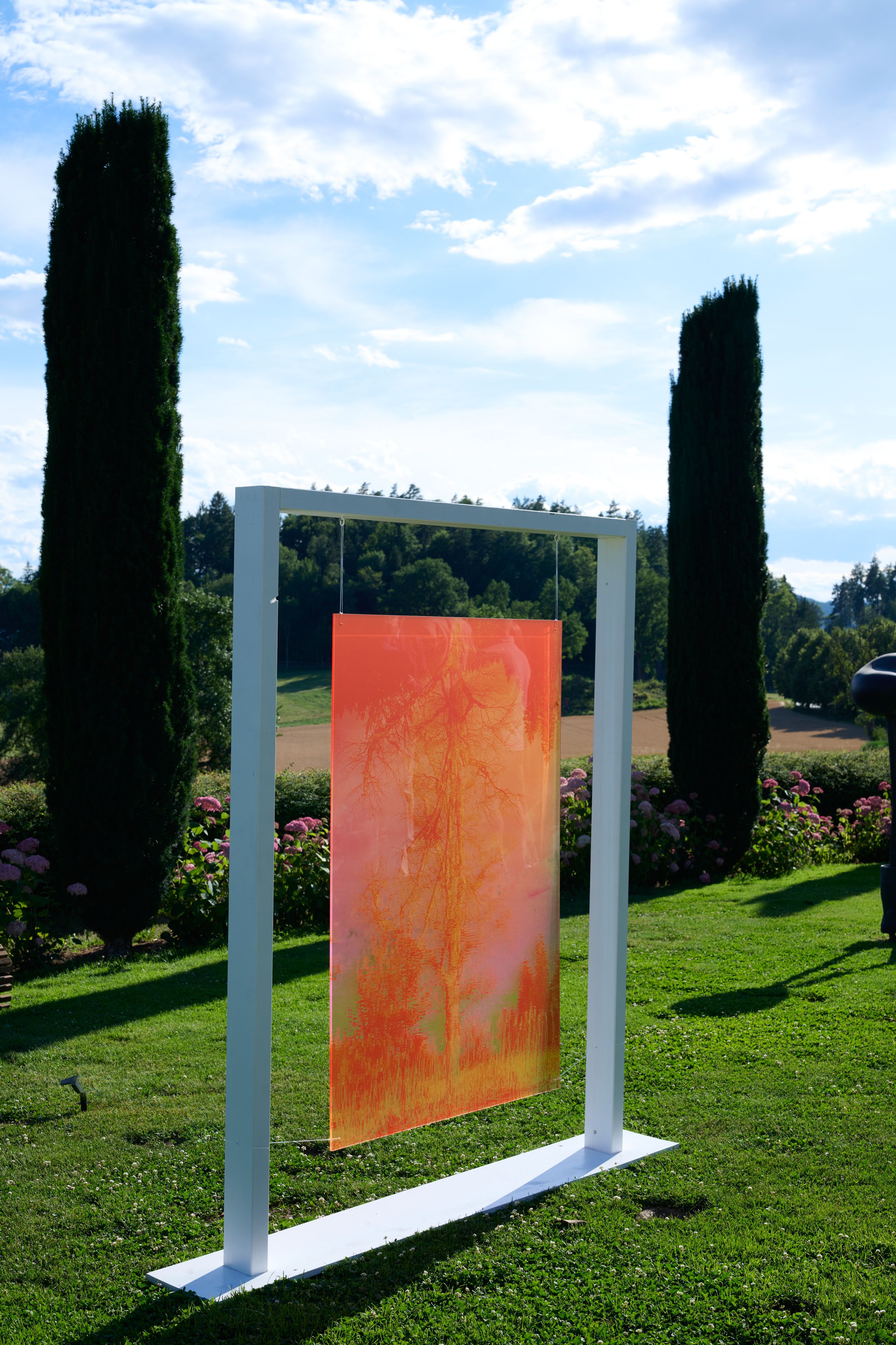 Magda von Hanau, Narcissus Pink, 2025, Photography printed on plexyglass, 150 x 100 cm 