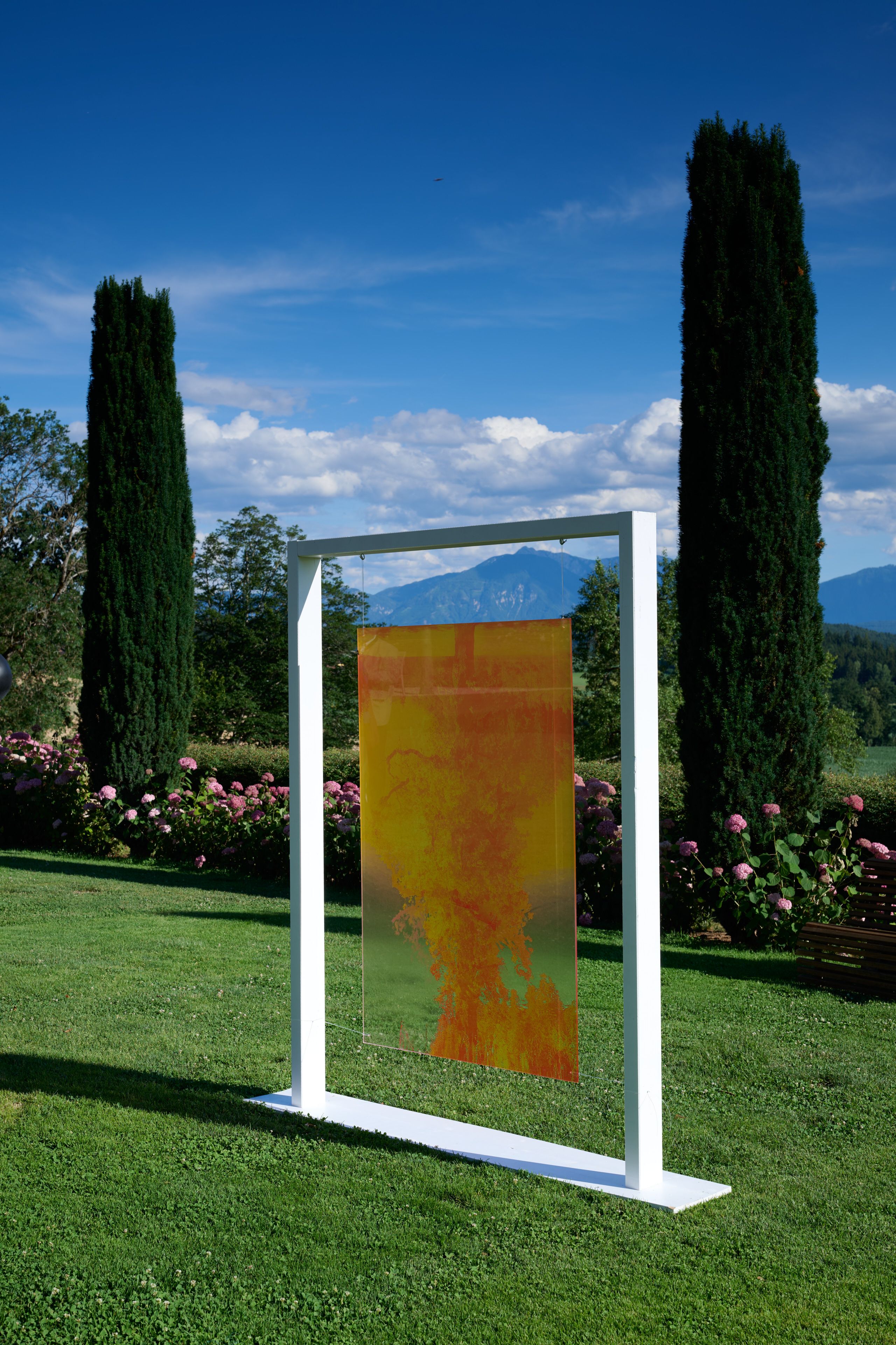 Magda von Hanau, Narcissus Yellow, 2025, Photography printed on plexyglass, 150 x 100 cm