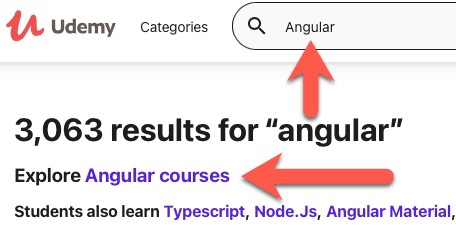 Angular courses on Udemy