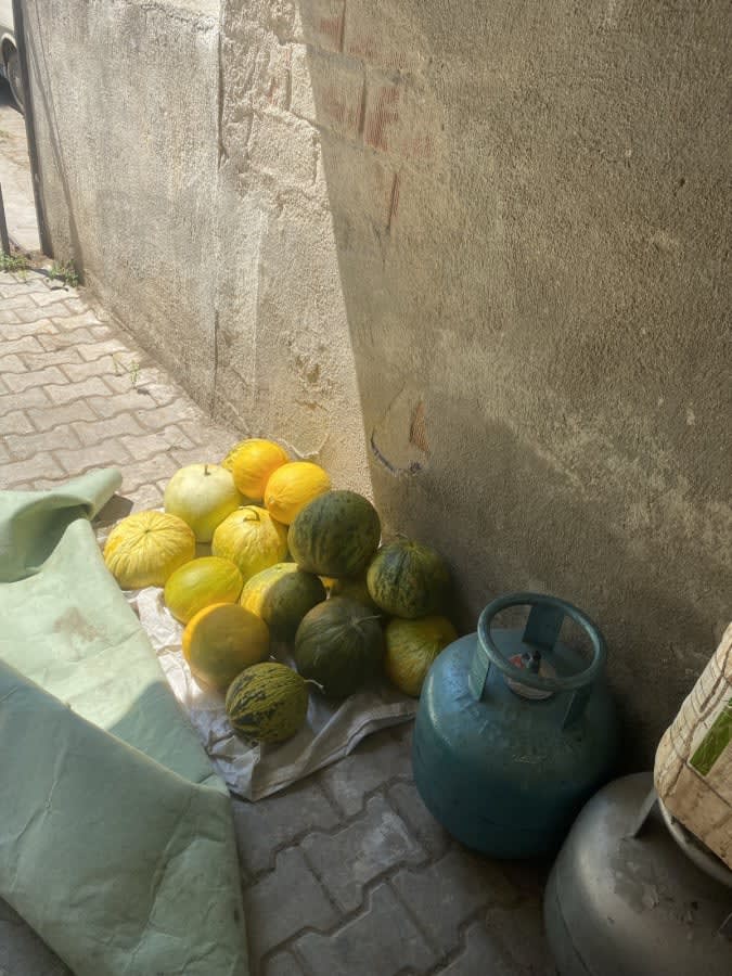 Çok Tatlı ilan fotoğrafı 1