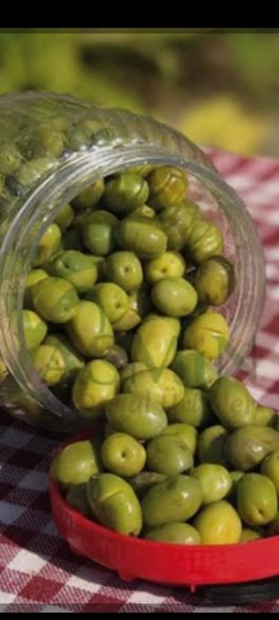 Yeşil Zeytin ilan fotoğrafı 1