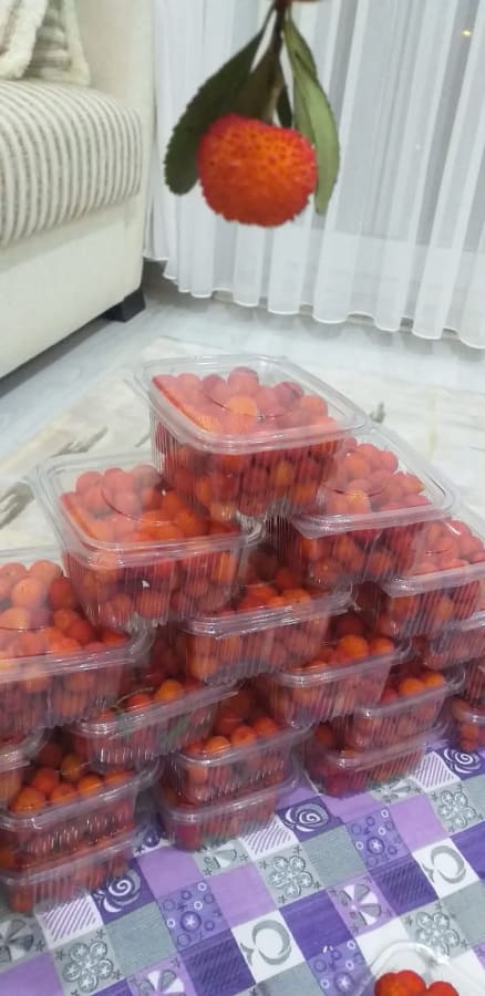 Dağ Çileği ilan fotoğrafı 1
