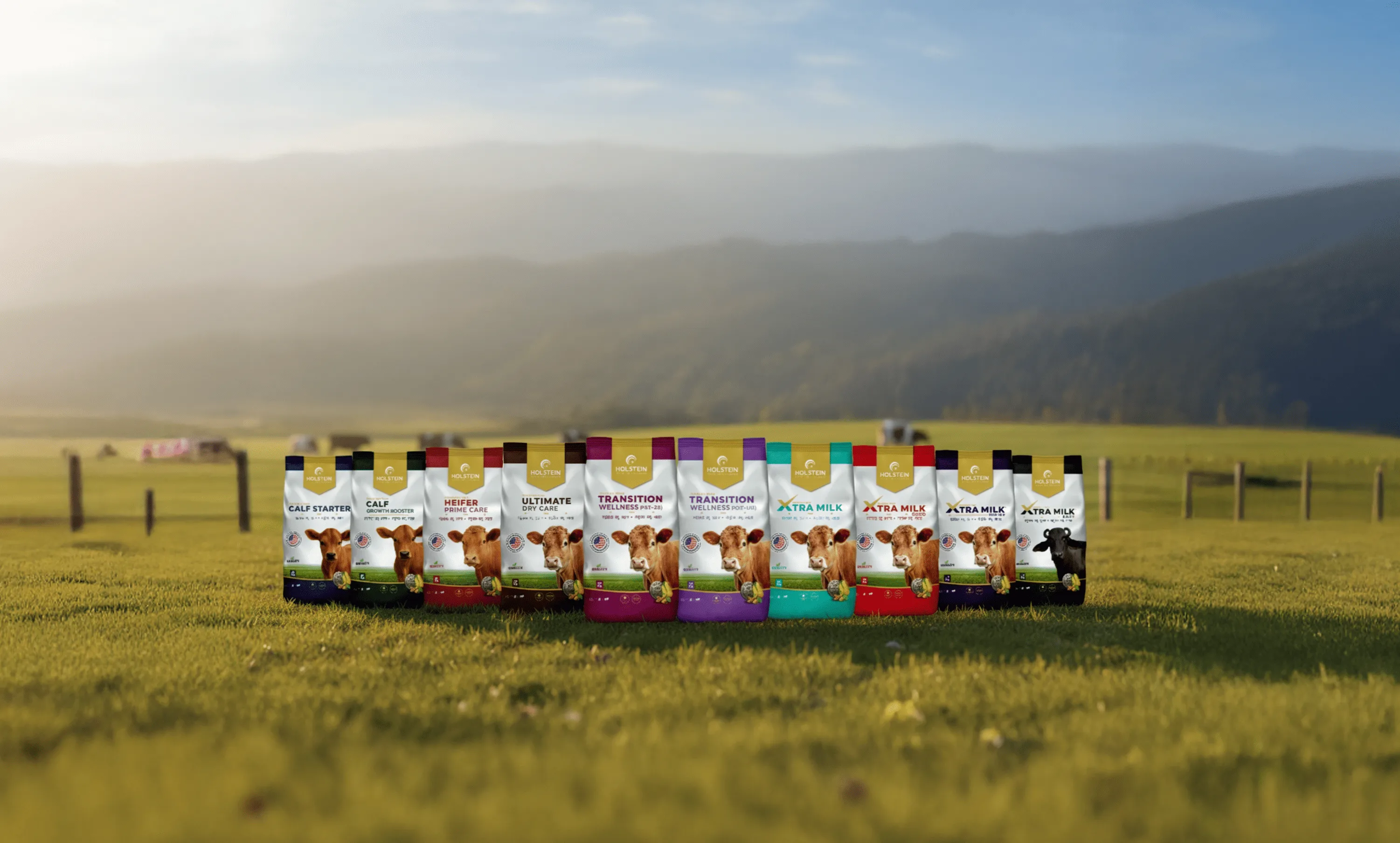 Cattle Feed Products Hero