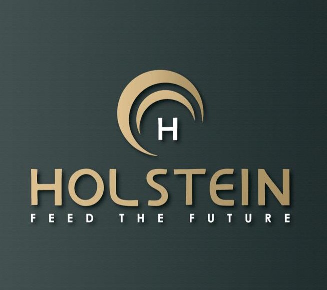 MMC Group / Holstein Logo