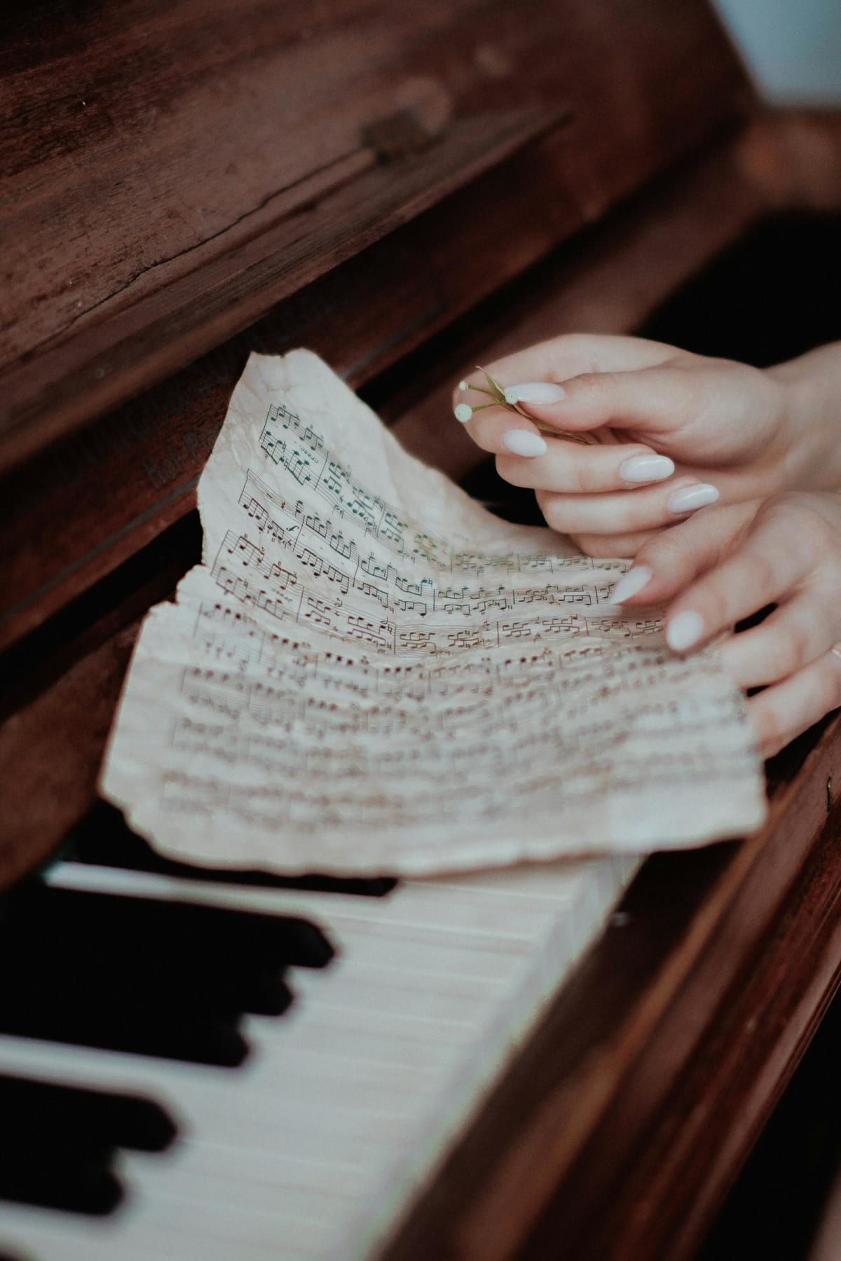 Sheet music held above piano keys during score review
