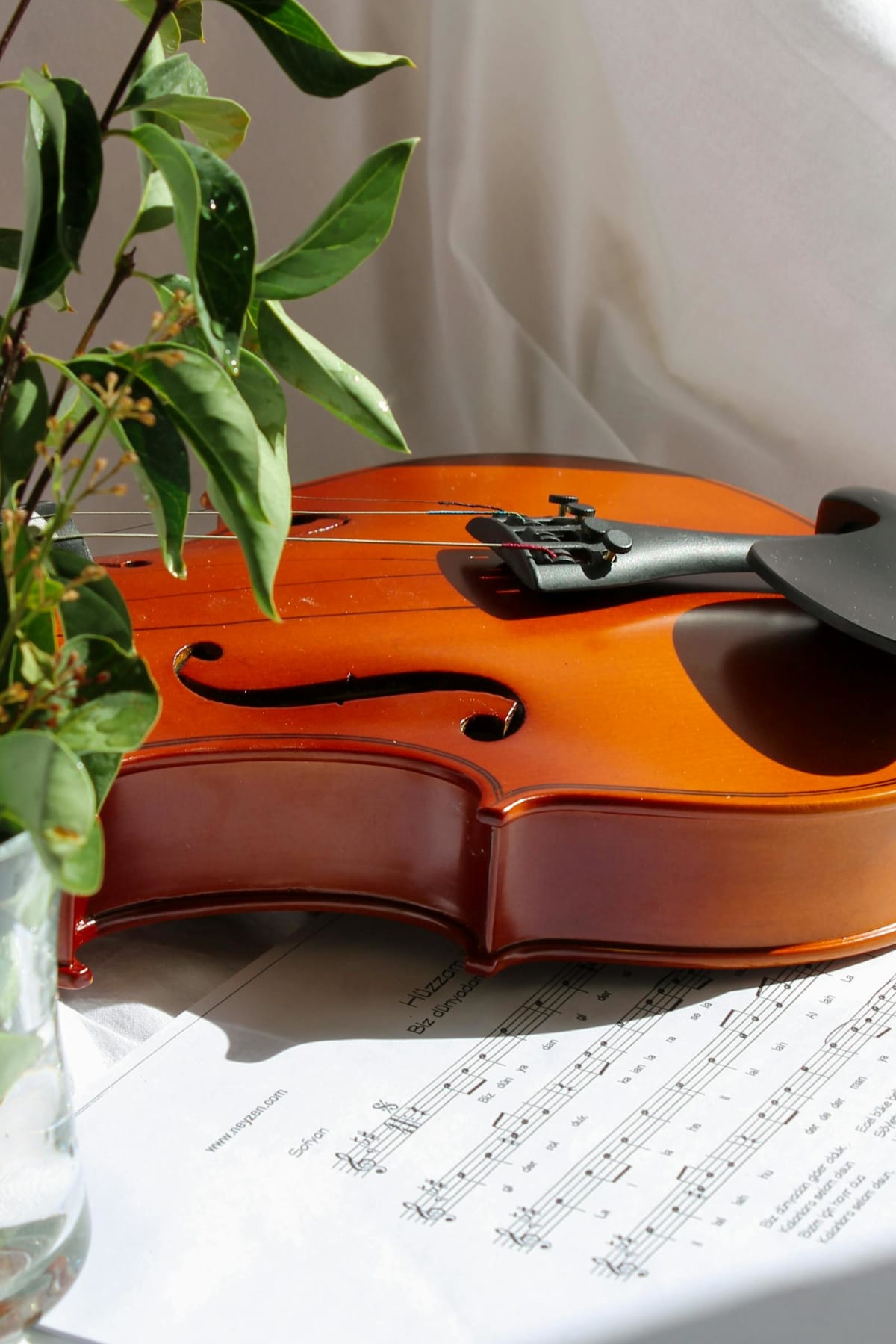 Close-up of a violin resting on sheet music
