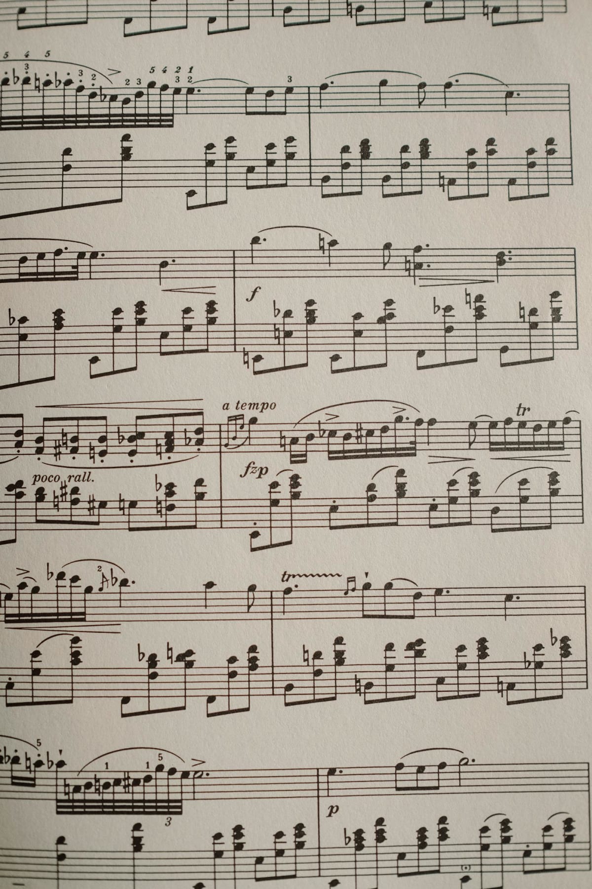 Close-up of notes on printed sheet music