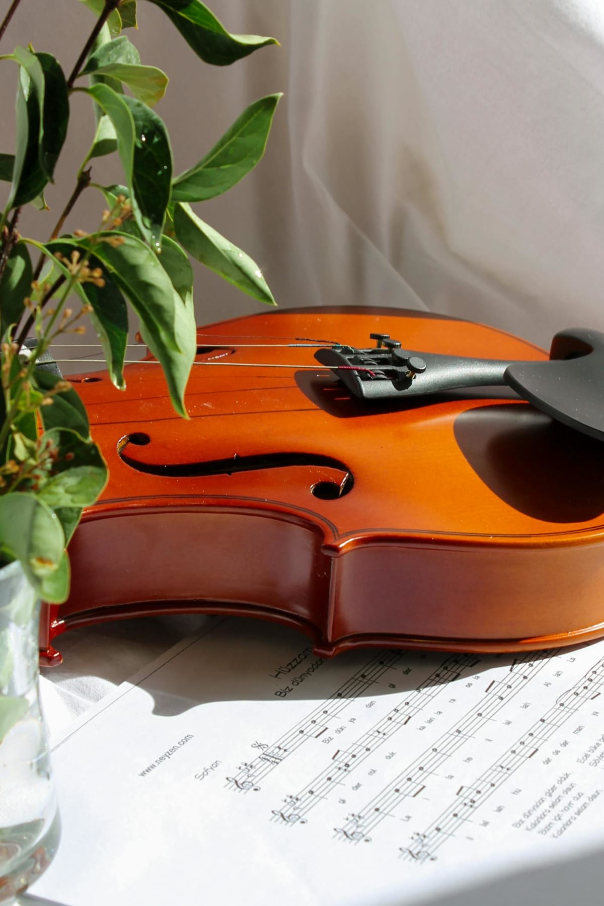 Open music sheet beside an instrument, suggesting a personal music library