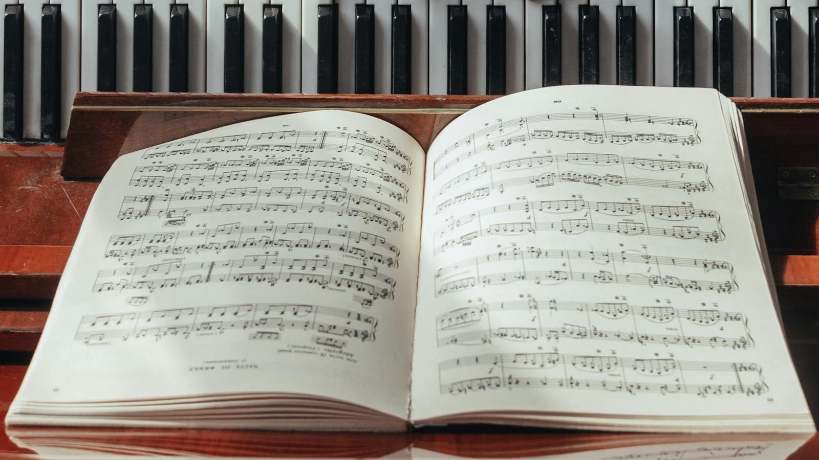 Why Some Adult Beginners Improve Faster Than Others
