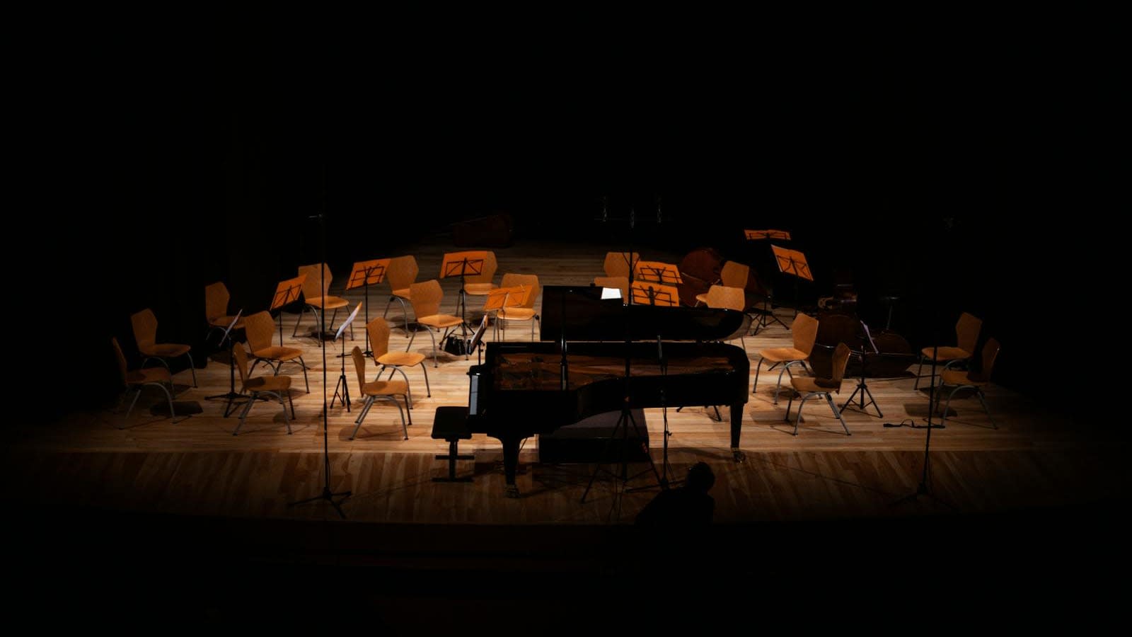 Why Successful Musicians Sometimes Retire Early