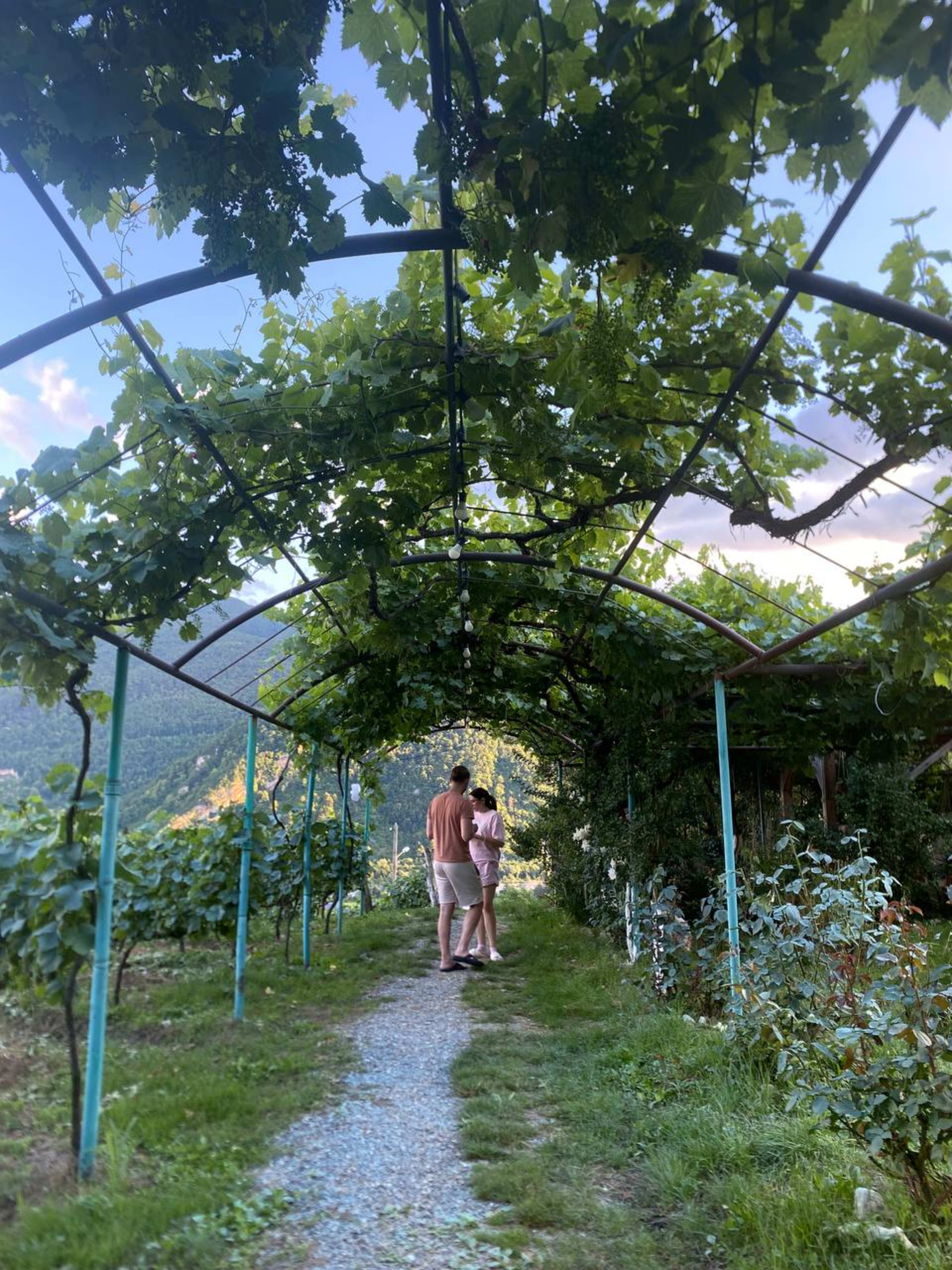 Рача: край гор и хвойных лесов — фото 17