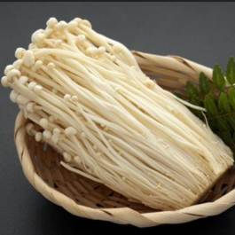 Jamur Enoki