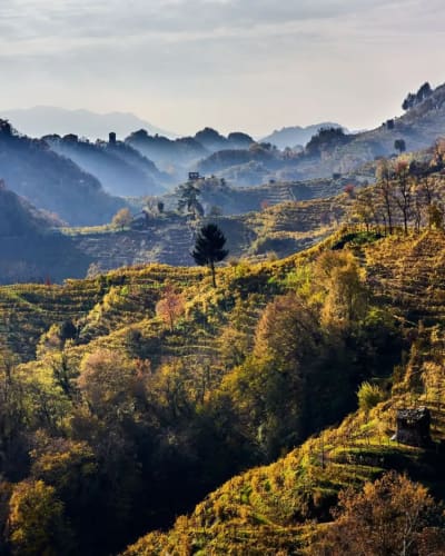 Farra di Soligo