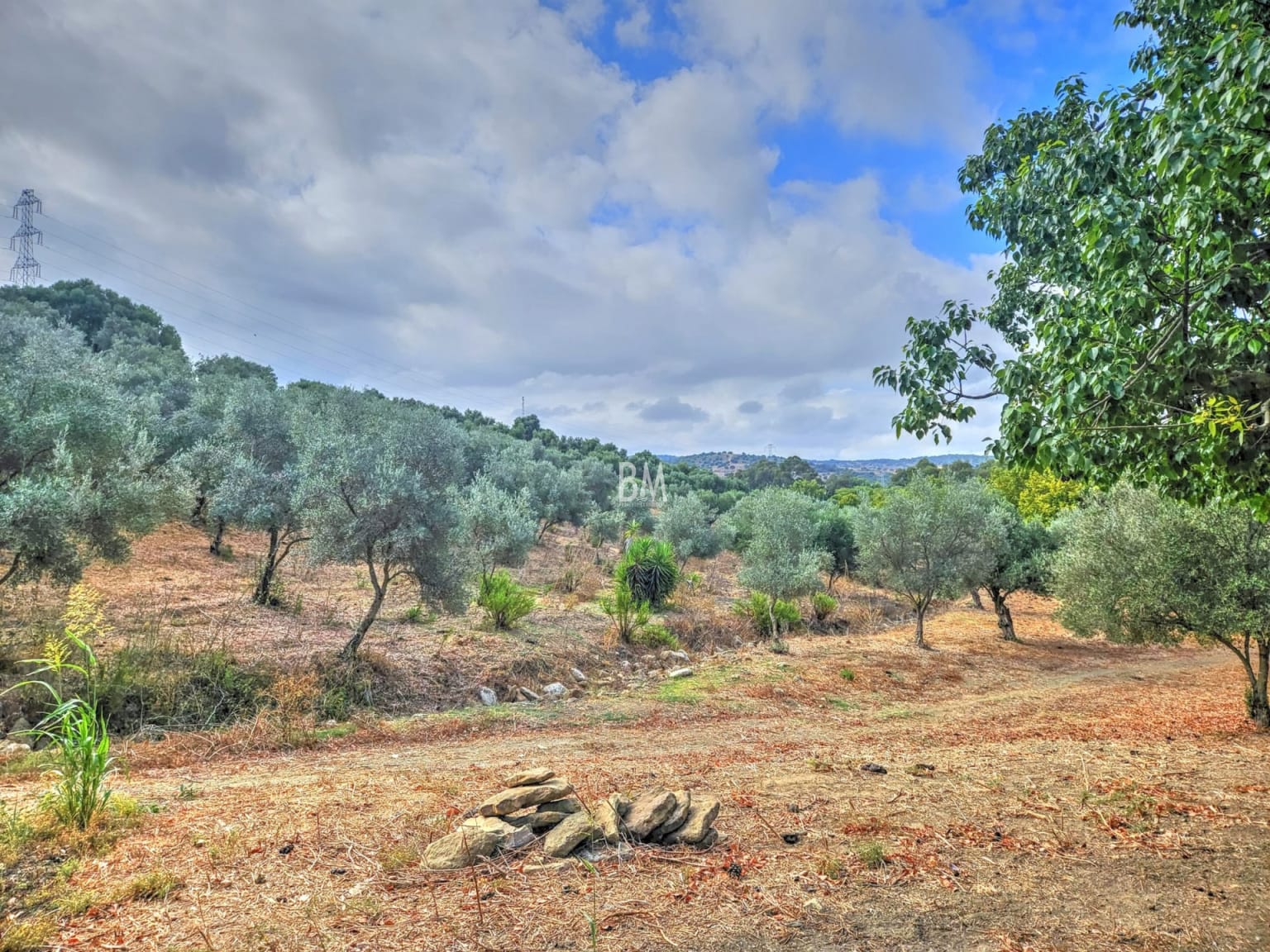 Finca El Arroyo – A Unique Renovation Opportunity in Montenegral Alto