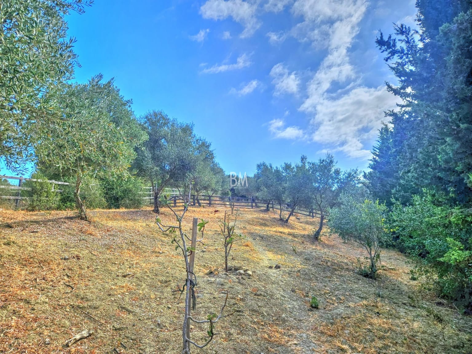 Finca El Arroyo – A Unique Renovation Opportunity in Montenegral Alto