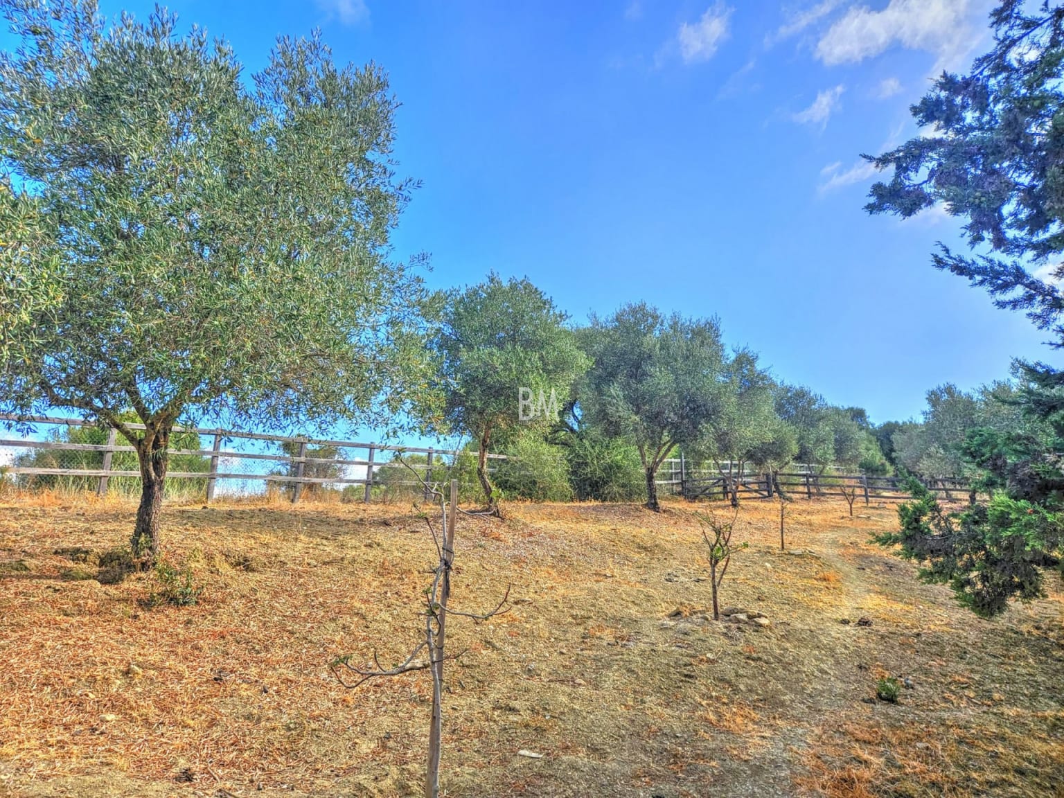 Finca El Arroyo – A Unique Renovation Opportunity in Montenegral Alto