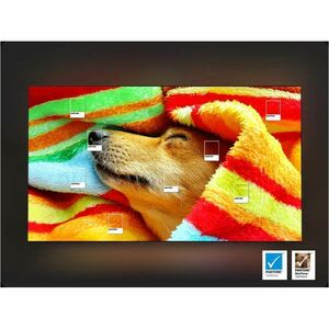 Tv Smart Oled Samsung S90f Qn65s90faf - 165.1cm - 4k Uhdtv - Negro Grafito - Alexa, Bixby Soportado - Tv Plus - Tizen - Dolby Atmos - Image 12