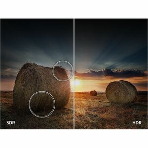 Smart Led-Lcd Tv 2025 Samsung Qef1 Qn75qef1af 190.5cm - 4k Uhdtv - Hig Dynamic Range (alto Rango Dinámico, Hdr) - Gris Titán - 1905mm Clase - Hdr10+, Quantum Hdr - Led Quantum Dot Retroiluminación - Alexa, Bixby Soportado - Airplay, Twitch, Netflix, Prime Video, Disney+, Apple Tv, Youtube - 3840 X 2160 Resolución - Image 13