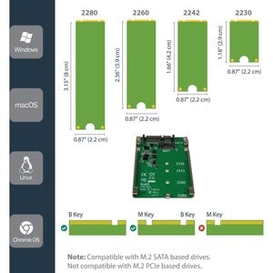 Startech.com Adaptador De Ssd Sata M.2 A Sata De 2.5" - Convertidor De M.2 Ngff A Sata - 7mm - Marco Abierto - Adaptador Para Disco Duro M.2 - Image 5