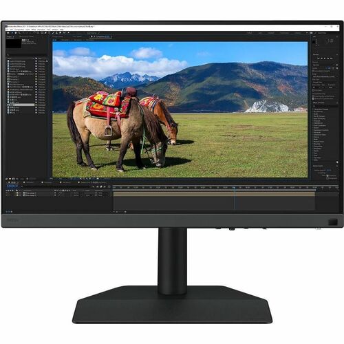 Monitor BenQ SW242Q - Fotografía profesional sin reflejos
