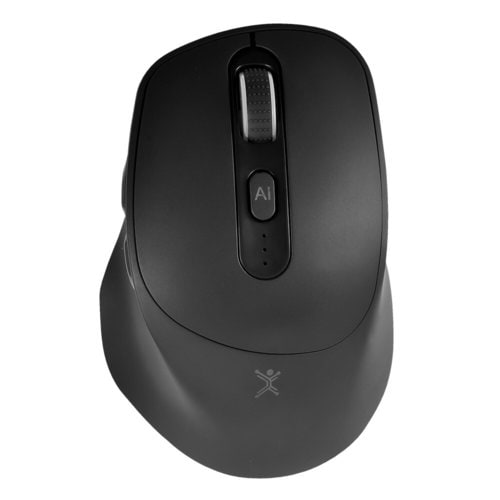 Mouse Perfect Choice vista frontal