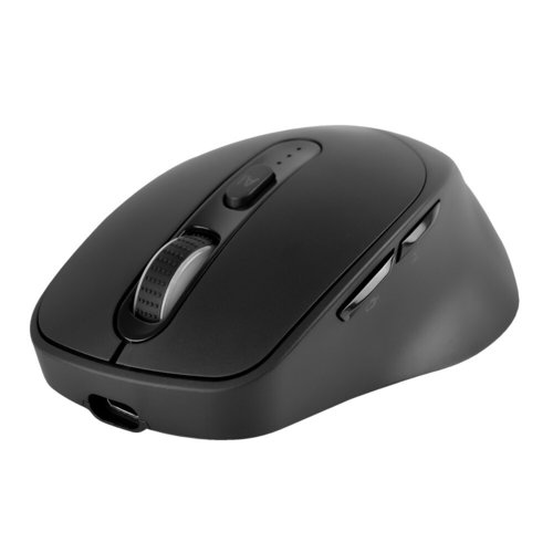 Mouse Perfect Choice vista lateral